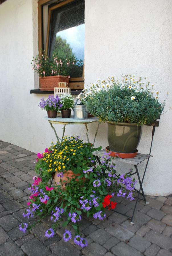 Homestay Cozy Room Markdorf Eksteriør billede